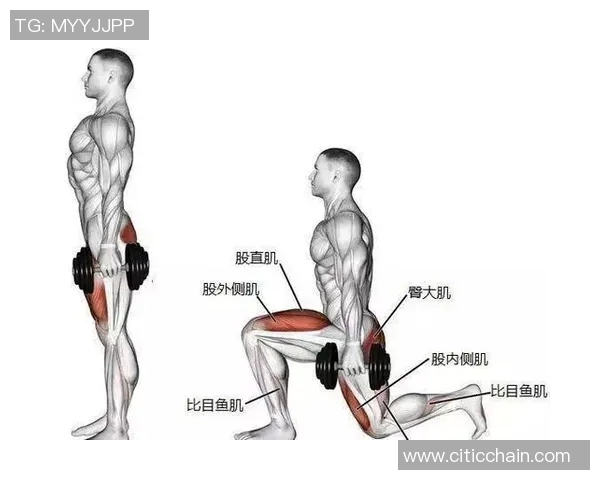 掌握箭步蹲的标准动作与哑铃训练技巧提升你的健身效果