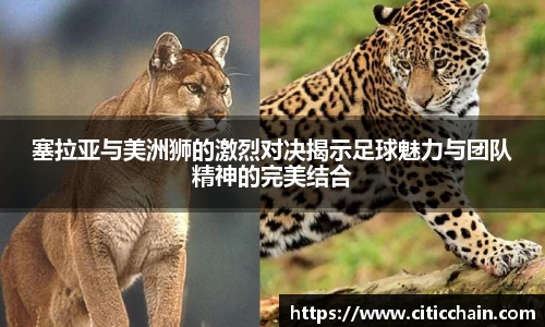 千亿·国际(中国)唯一官方网站